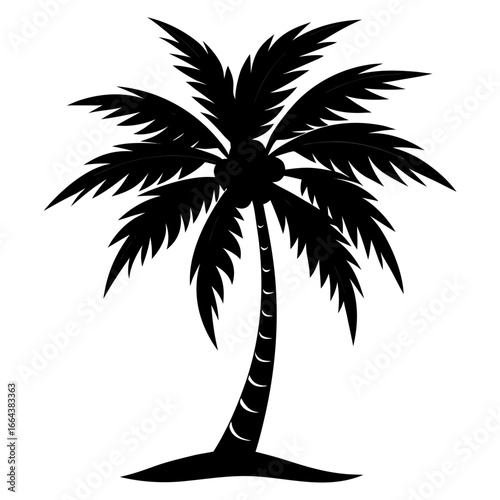 silhouette of palm tree