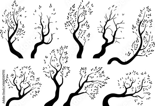 Diverse collection of elegant tree silhouettes with intricate branches and delicate foliage, meticulously crafted as vector illustrations for versatile graphic design applications.