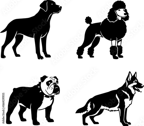 vector pack of different dog breeds.eps