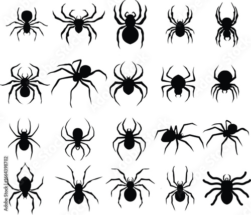 Spider Silhouette Collection - Black Vector Icons of Spiders. Set of spider silhouettes in black, perfect for Halloween, tattoo design, logos, and decoration