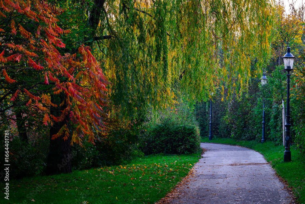 Fototapeta premium Herbstspaziergang im Park