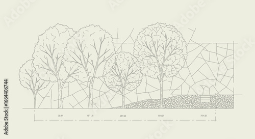 Architectural blueprint illustration of trees and wall with dimensions and beige background