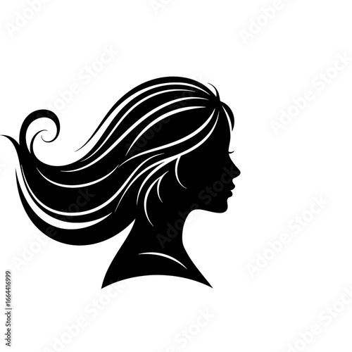Woman Silhouette Long Hair Profile Illustration