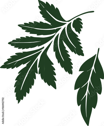 Green Leaves