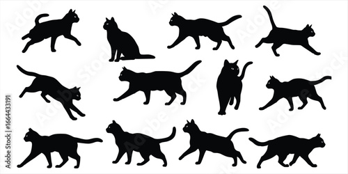 Twelve Black Cat Silhouettes in Different Poses on White Background feline animal
