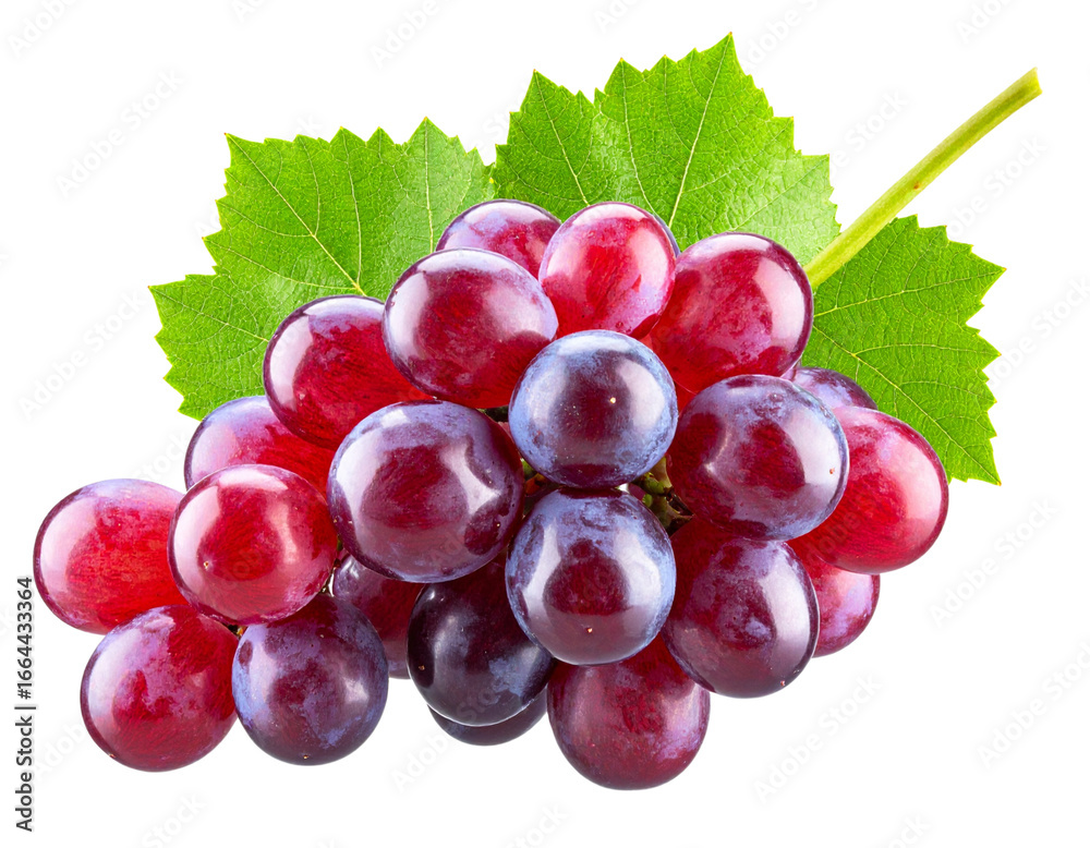Fototapeta premium red grapes isolated on white