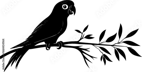silhouette illustration of parrot on branch