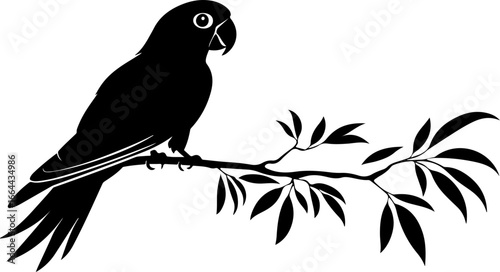 silhouette illustration of parrot on branch