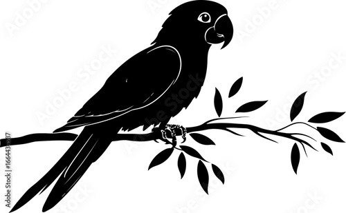 silhouette illustration of parrot on branch
