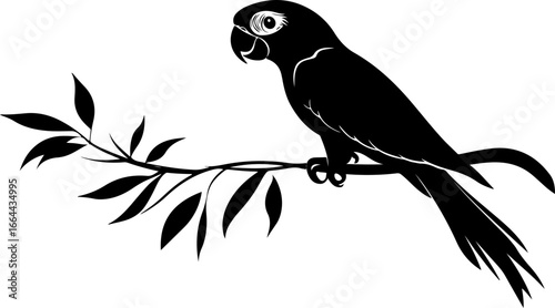 silhouette illustration of parrot on branch