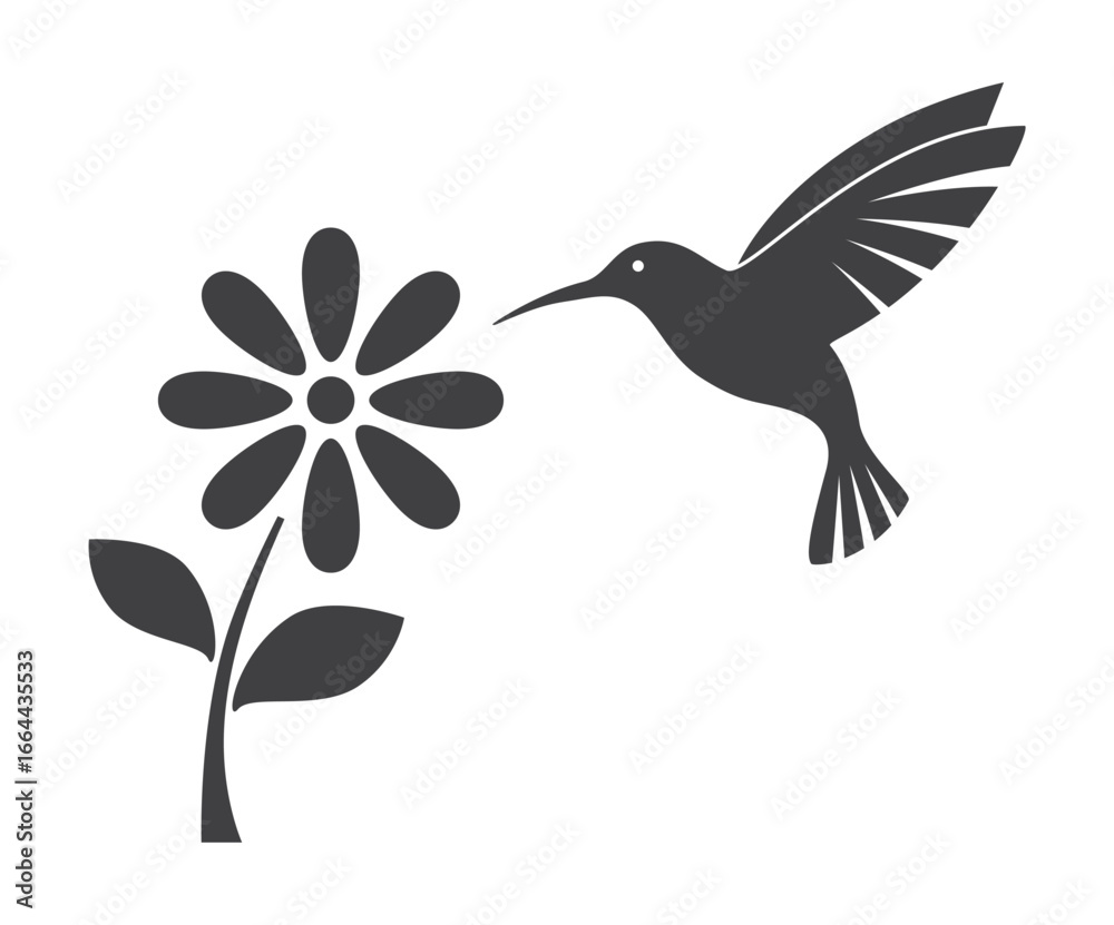 Obraz premium hummingbird colibri icon