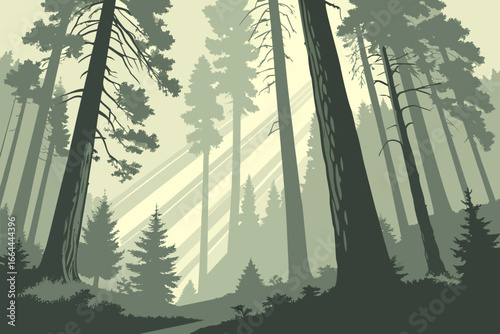 Mist rolling through a redwood forest with sunbeams breaking through the canopy