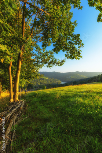 Fototapeta Naklejka Na Ścianę i Meble -  Górski krajobraz wśród wzgórz i bujnych zielonych pól, złota godzina, naturalne piękno, Beskidy, Cieńków, Polska