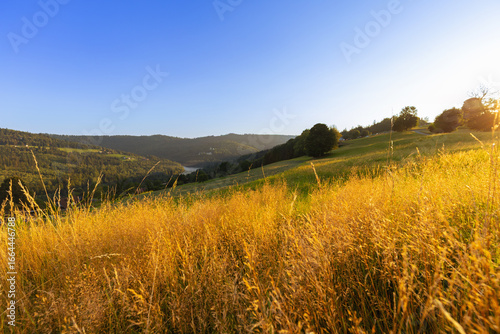Fototapeta Naklejka Na Ścianę i Meble -  Górski krajobraz wśród wzgórz i bujnych zielonych pól, złota godzina, naturalne piękno, Beskidy, Cieńków, Polska