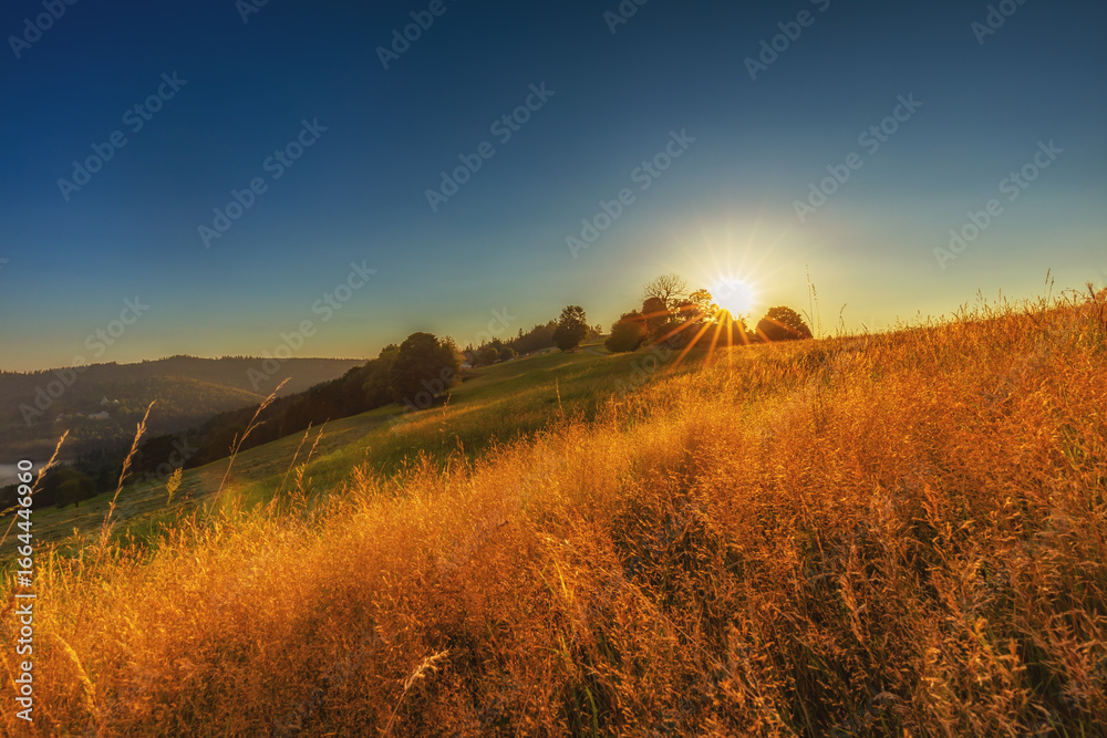 Fototapeta premium Górski krajobraz wśród wzgórz i bujnych zielonych pól, złota godzina, naturalne piękno, Beskidy, Cieńków, Polska