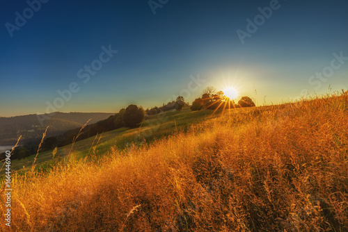 Fototapeta Naklejka Na Ścianę i Meble -  Górski krajobraz wśród wzgórz i bujnych zielonych pól, złota godzina, naturalne piękno, Beskidy, Cieńków, Polska