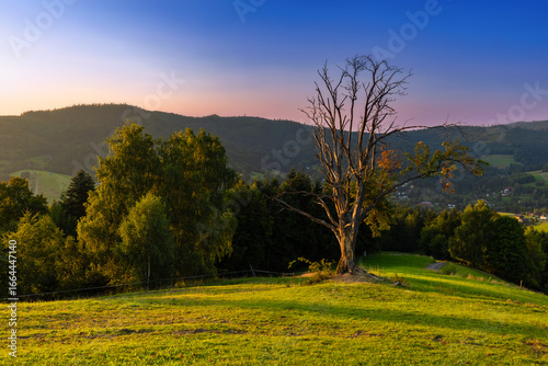 Fototapeta Naklejka Na Ścianę i Meble -  Górski krajobraz wśród wzgórz i bujnych zielonych pól, złota godzina, naturalne piękno, Beskidy, Cieńków, Polska
