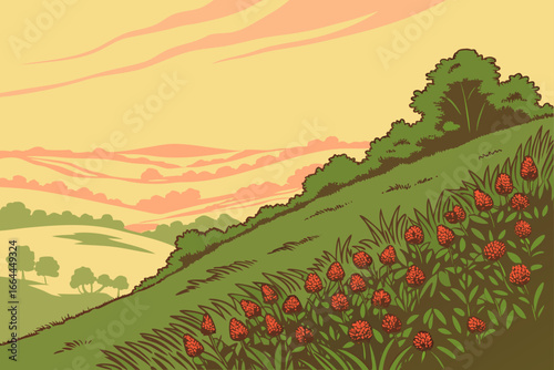 A hillside in Kentucky brimming with red clover catches the soft, golden warmth of sunrise