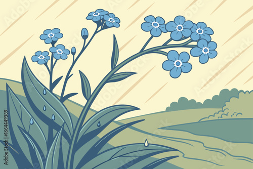 A patch of wild Alaska forget-me-nots glistens with dew under the soft, cool light of early sunrise