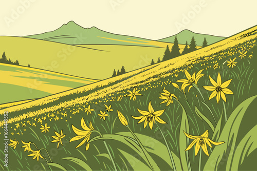 A sprawling Montana meadow dotted with yellow glacier lilies brightens under the soft light of a pale spring dawn