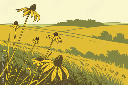 A sweeping Illinois prairie filled with black-eyed Susans sways gently in the golden morning light