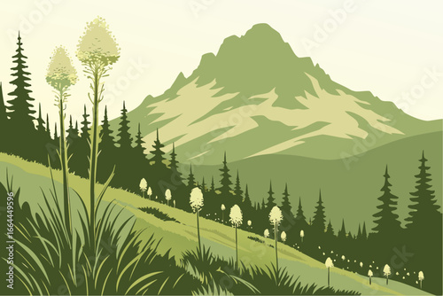A Washington mountain meadow filled with beargrass sways under the gentle warmth of morning light