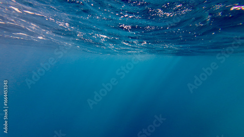 Ocean in section. Thickness of the sea. Texture of the sea. Rays of the sun pass through the surface of the sea and dissolve in the thickness of the water. Background of sun rays underwater.