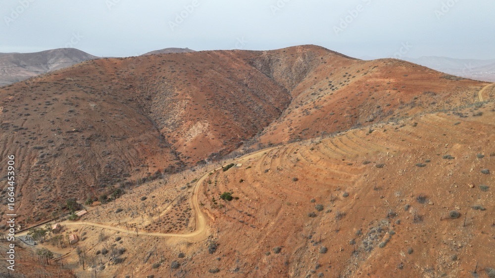 Naklejka premium desert place where the scarce vegetation meets the mountains and the sand 