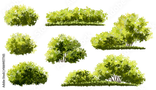 Vertor set of green tree,plants side view for landscape elevations,element for backdrop,eco environment concept design,watercolor greenery scene