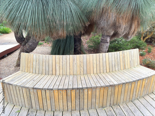 Wood gardens seat and pine trees during the morning