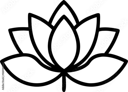 Elegant lotus flower bloom illustration