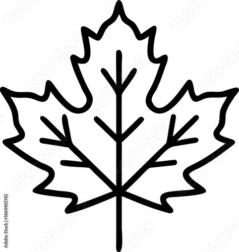 Simple maple leaf outline design element