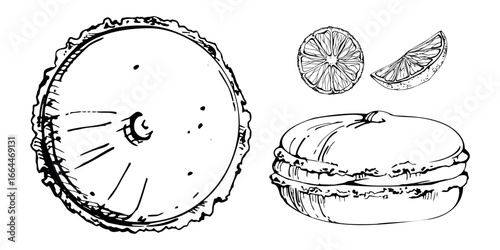 Citrus macarons with sliced orange garnish, whoopie pie bun biscuit shown from side and top. Isolated hand drawn vector ink illustration. Cookbook graphics, craft paper, holiday dessert campaigns.