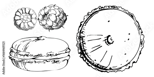 Macarons with fresh ripe raspberries, moon pie berry cookie, and cream-filled whoopie pie. Vector ink hand drawn isolated artwork. Blog headers, stationery, culinary branding, online shop visuals.