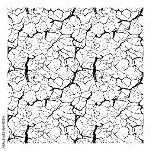 Seamless cracked earth texture pattern, creating a dry land effect with black and white distressed surface.