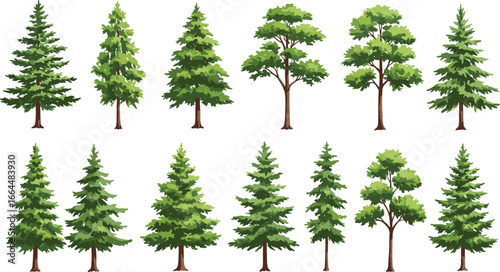 Beautiful collection of various green pine and deciduous trees, nature illustration, forest elements, perfect for environmental and outdoor design 