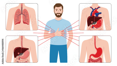 Man Experiencing Abdominal Pain with Diagrams of Internal Organs stomach ache digestive system