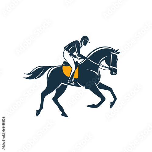 Elegant silhouette of a horse rider in motion