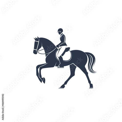 Elegant silhouette of a horse rider in motion