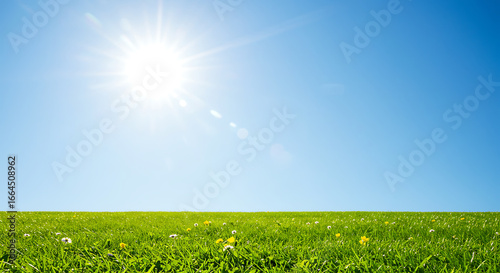 Sunny Day, Green Grass Field, Blue Sky