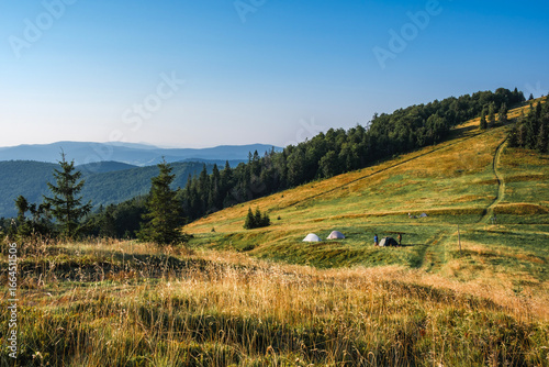 Fototapeta Naklejka Na Ścianę i Meble -  Hala Rycerzowa, Beskid Żywiecki