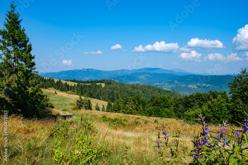 Fototapeta Naklejka Na Ścianę i Meble -  Beskid Żywiecki