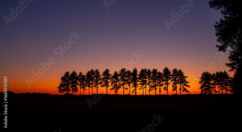 Sunset Silhouette: A Line of Pines