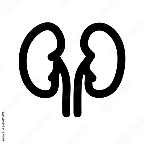 Kidneys, A pair of bean-shaped organs that filter blood, remove waste, and regulate fluid balance.