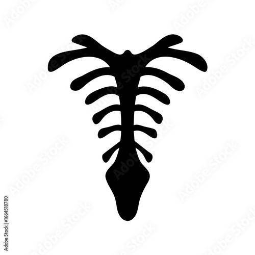 Stylized anatomical chest cavity with ribs and sternum for design applications