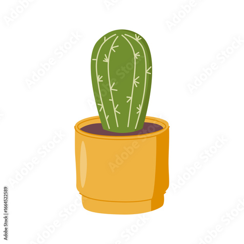 Cactus in pot. Prickly thorny green cacti houseplant with spiny needles, prickles, growing in indoor flowerpot.