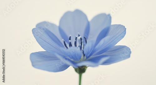 Serene Blue Bloom: A Gentle Still Life