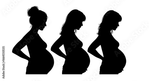 Silhouettes of pregnant women showing different stages of pregnancy and belly sizes.