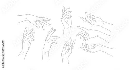 Elegant hand gestures in simple line art, conveying grace and design for beauty and fashion projects