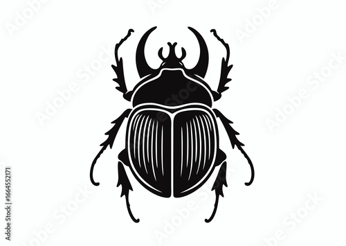 Beetle insect, black and white vector silhouette